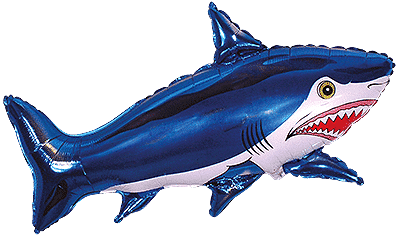 Strong Shark