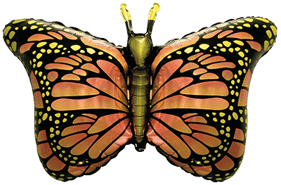 Royal Butterfly - 22"/56cm.h x 38"/97cm.w, Orange