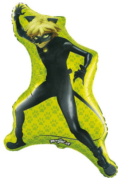 Cat Noir - 35"/89cm.h x 22"/56cm.w