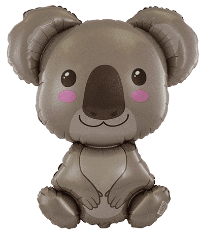 Baby Koala