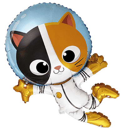 Cat Astronaut