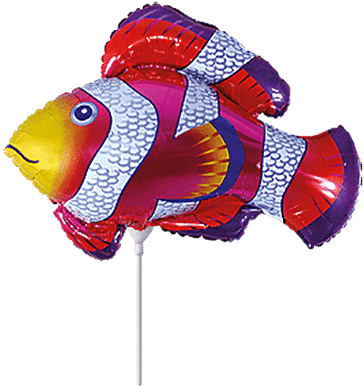 Clownfish Mini