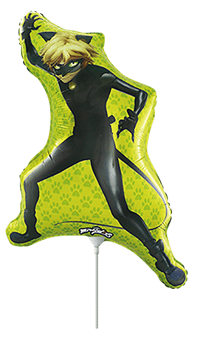 Cat Noir - Mini 13"/33cm.h x 8"/21cm.w