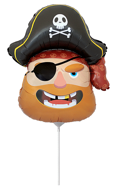 Pirate Head - Mini 13"/32cm.h x 11"/27cm.w