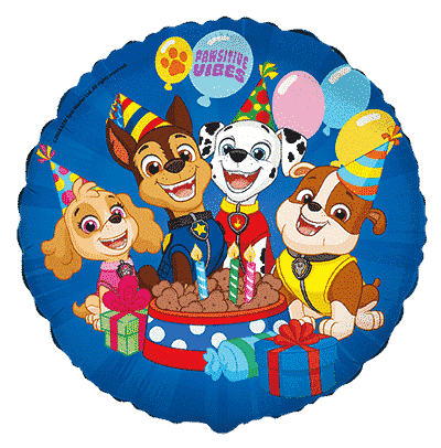 RD Paw Patrol - Regular (18" - 45 cm )