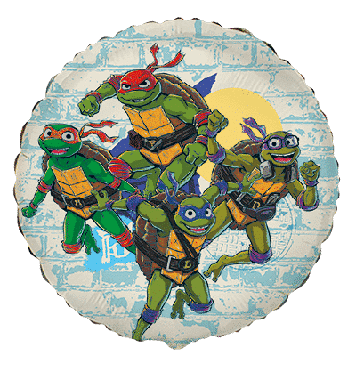 RD Ninja Turtles - Regular (18" - 45 cm )